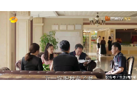 忻城贷款清欠服务