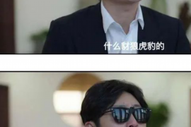 忻城债务清欠服务