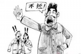 忻城企业清欠服务